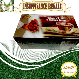 Insuffisance rénale