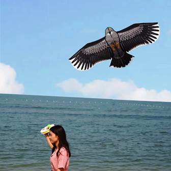 Cerf volant Aigle  - Photo 3