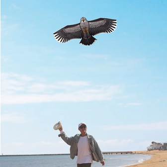 Cerf volant Aigle  - Photo 5